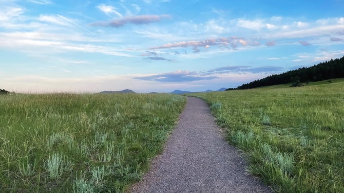 Things to Do near Evergreen