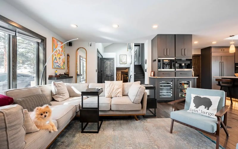 Open-plan living — Evergreen Mountain House