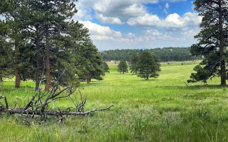 Elk Meadow open space — Evergreen Mountain House