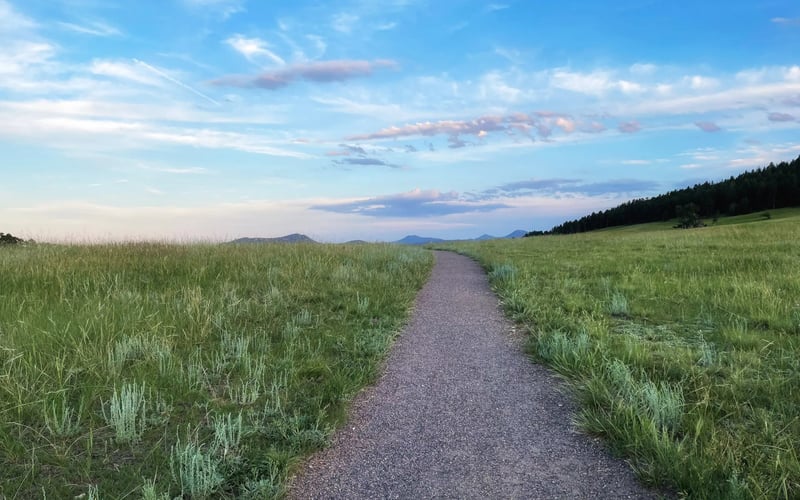 Elk Meadow trail, a 5-minute walk — Evergreen Mountain House